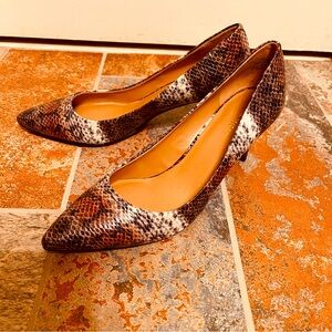 🐊NWOB! Stunning Nine West Python Print Pumps!